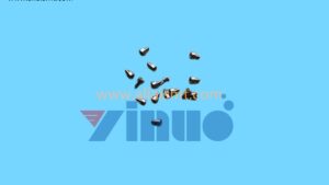 BOLT HEX SOCKET H67736