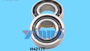 H4217T Model 7004ATYNDBLP5 FUJI Mounter XP243Y Axis Screw Bearing