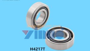 H4217T Model 7004ATYNDBLP5 FUJI Mounter XP243Y Axis Screw Bearing