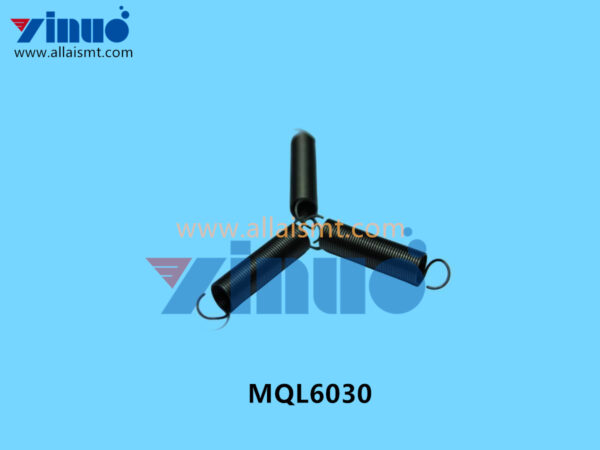 MQL6030 SPRING