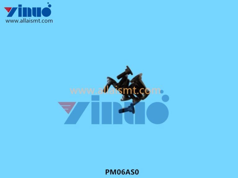PM06AS0 PIN