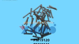 PM19120 PM19121 PM19126 NXT V12 PIN
