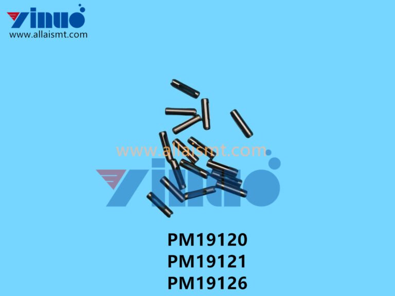PM19120 PM19121 PM19126 NXT V12 PIN