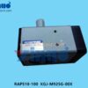 RAPS10-100 KGJ-M925G-00X CYLINDER