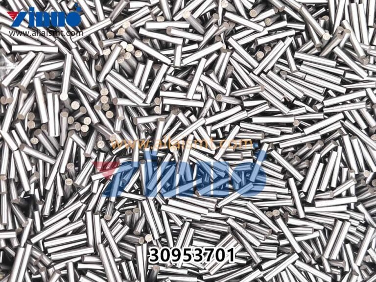 30953801 Universal AI PIN