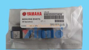 9965 000 03808 A010E1-55W VALVE