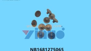 NB1681275065 NB1681275041 Universal AI PIN