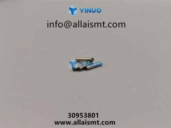 pin 30953801