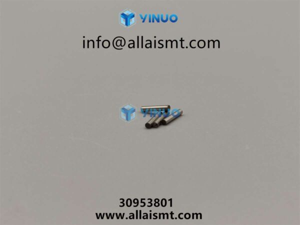 pin 30953801