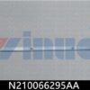 N210066295AA