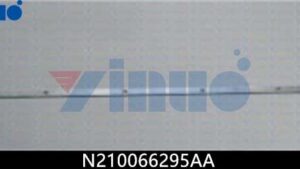N210066295AA