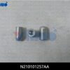 N210101257AA