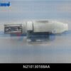 N210130188AA