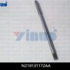 N210131172AA