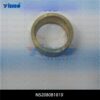 N52080B1810