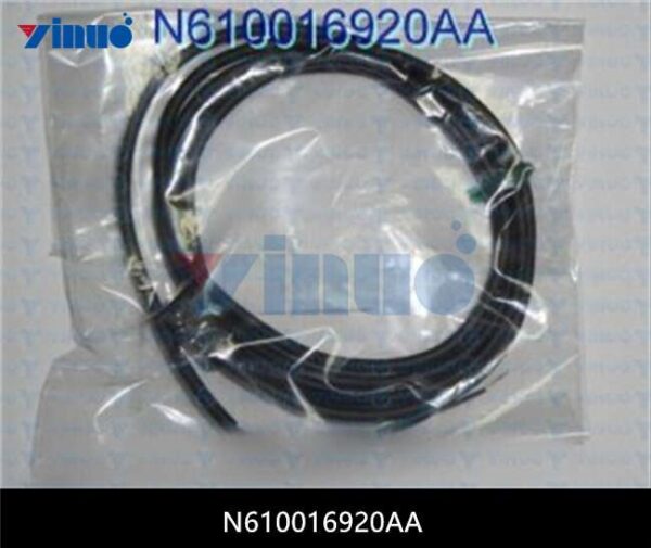 N610016920AA