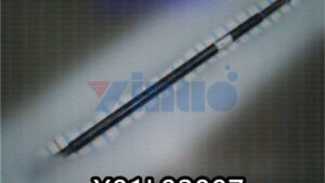 X01L02007
