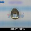 X02P12056