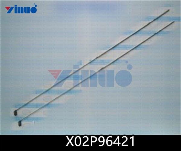 X02P96421