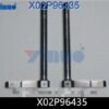 X02P96435