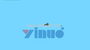 XSN25+4VW FEEDER SCREW