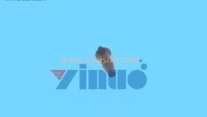 Samsung Hanwha CN220 NOZZLE